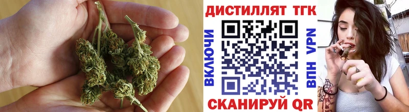 Дистиллят ТГК гашишное масло  ссылка на мегу онион  Новоалександровск  купить закладку 