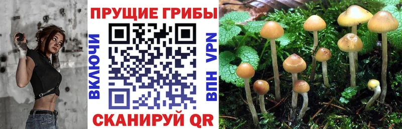 наркошоп  Новоалександровск  Галлюциногенные грибы мухоморы 